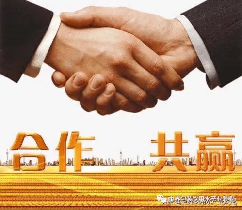 共享共贏 礦泉水項目市場營銷策劃與戰略規劃方案