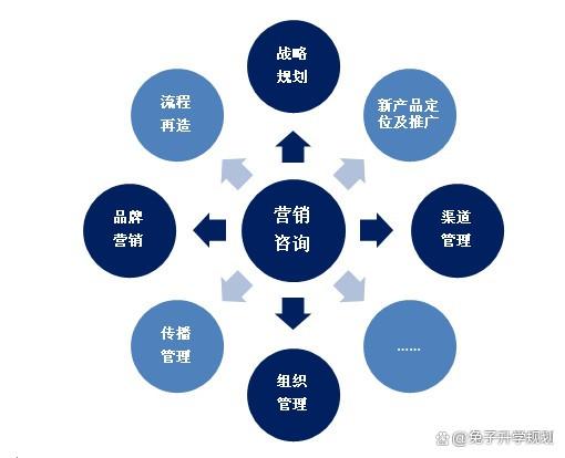 市場(chǎng)營(yíng)銷(xiāo)策劃 從理論到實(shí)踐的全面指南